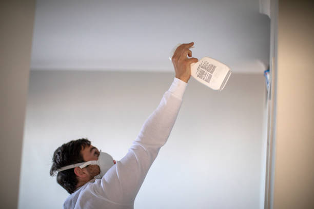 Best Certified Mold Removal  in Hamtramck, MI