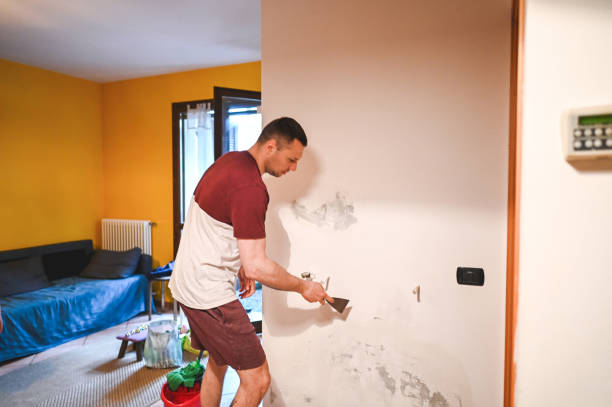 Best Home Mold Removal  in Hamtramck, MI